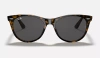 Okulary przeciwsłoneczne RAY-BAN WAYFARER II RB2185 71292B1 r 55
