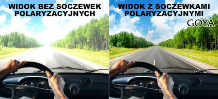 Okulary przeciwsłoneczne polaryzacyjne dla kierowców GOYA - G 55T005 BR
