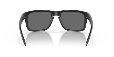 Okulary przeciwsłoneczne OAKLEY HOLBROOK OO9102 910236